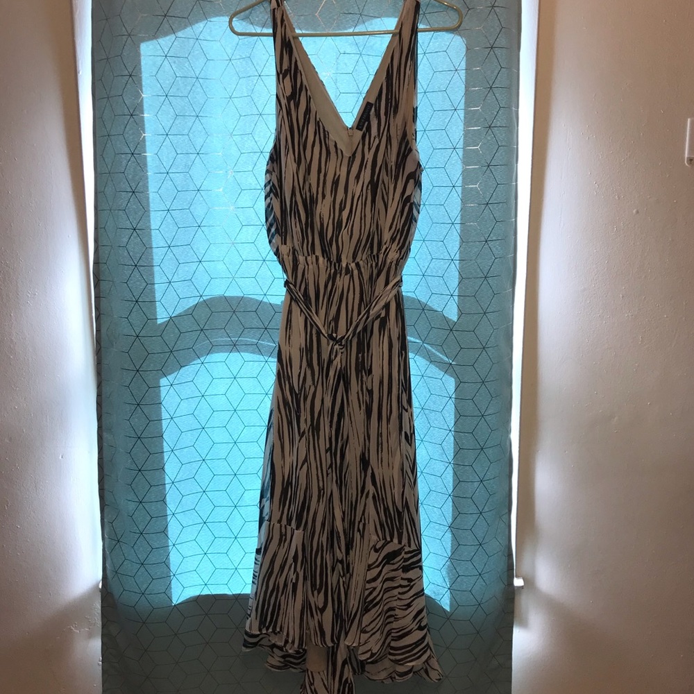 Lane Bryant Zebra Dress